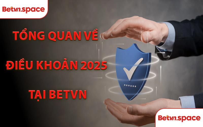 Tổng Quan Về Điều Khoản 2025 Tại BETVN